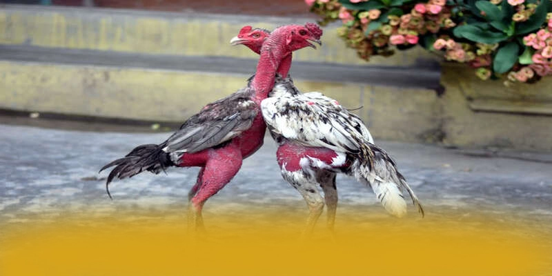 Quy trình thanh toán tiện lợi tại BET168 Quy trình thanh toán tiện lợi tại BET168